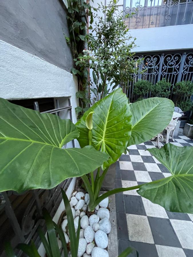 Le Petit Palais Bed & Breakfast Buenos Aires Exterior photo